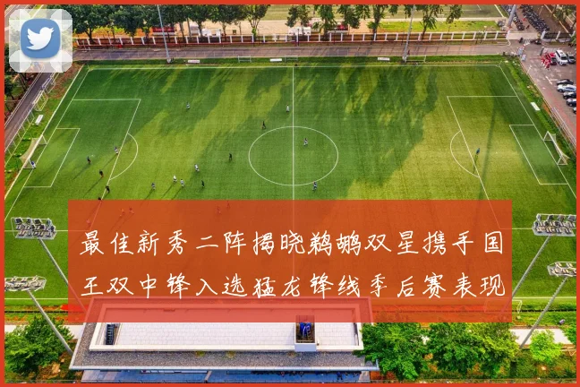 最佳新秀二阵揭晓鹈鹕双星携手国王双中锋入选猛龙锋线季后赛表现抢眼